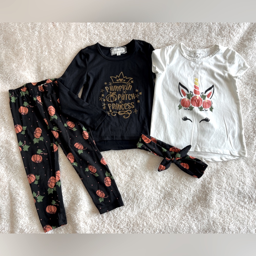 Pumpkin/Fall matching set, size 4T 🎃🍁